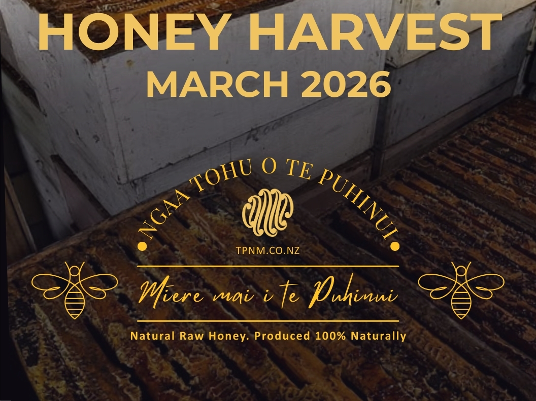 2026 Honey Harvest