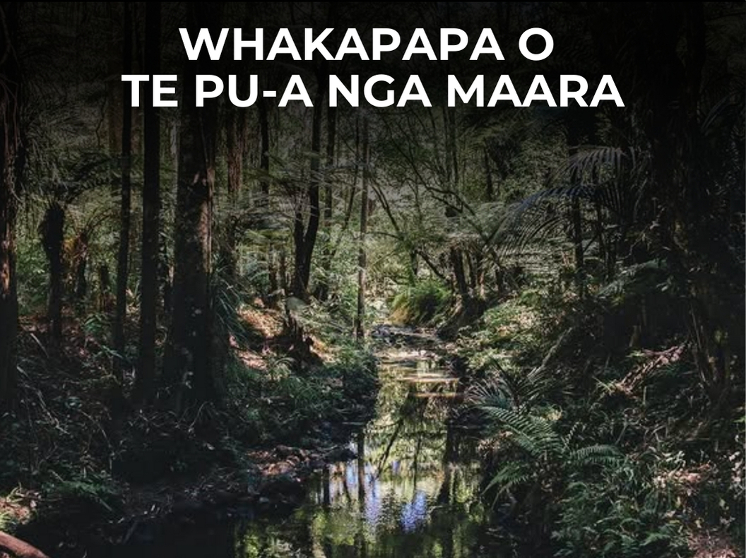 Whakapapa o Te Pu-a Nga Maara