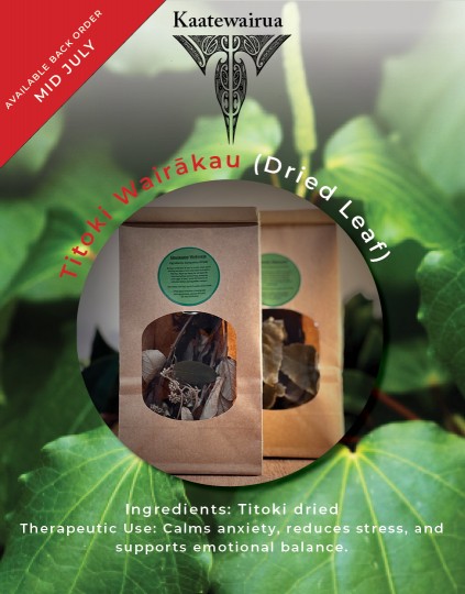 Kaatewairua RONGOĀ MĀORI Titoki Wairākau Dried Leaf