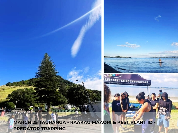 Te Pu-a-Nga Maara