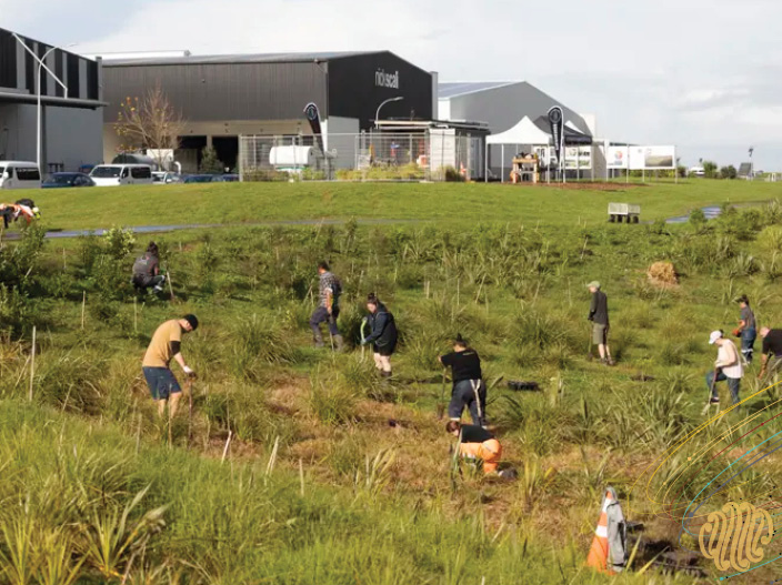 2023 Puhinui Stream, one of NZ's most polluted awa, now boasts 14,000 new native trees