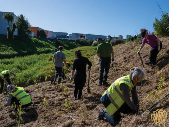 2024 Property managers! Help find land for nature regeneration!
